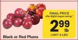 ACME Black or Red Plums offer
