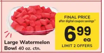 ACME Large Watermelon Bowl offer