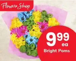 ACME Bright Poms offer