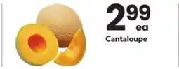 ACME Cantaloupe offer
