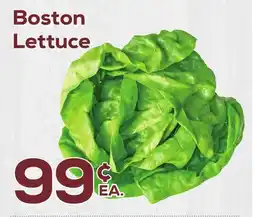 DeCicco & Sons Boston Lettuce offer