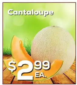 DeCicco & Sons Cantaloupe offer