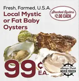 DeCicco & Sons Local Mystic or Fat Baby Oysters offer