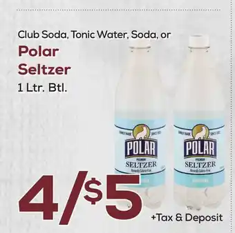 DeCicco & Sons Polar Seltzer offer