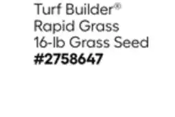 Lowe's Turf Builder Rapid Grass 16-lb Grass Seed offer
