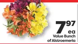 Weis Markets Value Bunch of Alstroemeria offer