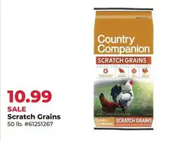 Runnings Scratch Grains offer