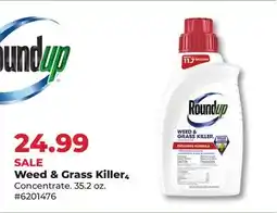 Runnings Roundup Weed & Grass Killer₄ Concentrate offer
