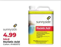 Runnings Muriatic Acid offer