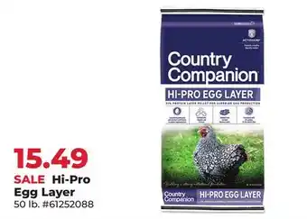 Runnings Hi-Pro Egg Layer offer