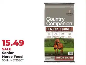 Runnings Senior Horse Feed offer
