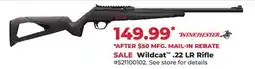 Runnings Wildcat .22 LR Rifle offer