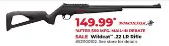 Runnings Wildcat .22 LR Rifle offer