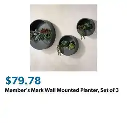 Sam's Club Member's Mark Wall Mounted Planter, Set of 3 offer