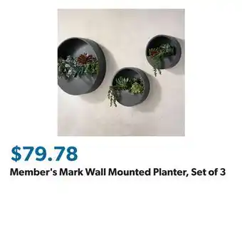 Sam's Club Member's Mark Wall Mounted Planter, Set of 3 offer
