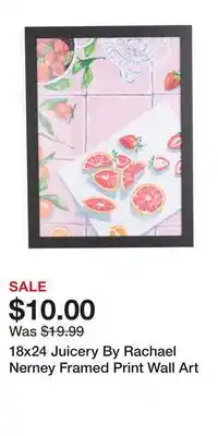 TJ Maxx 18x24 Juicery By Rachael Nerney Framed Print Wall Art offer