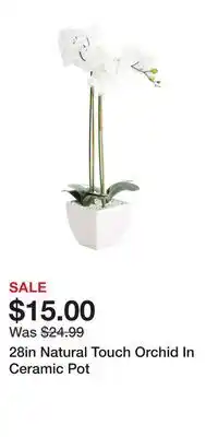TJ Maxx 28in Natural Touch Orchid In Ceramic Pot offer