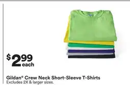 Michaels Gildan Crew Neck Short-Sleeve T-Shirts offer