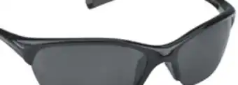 Big 5 Nike Skylon Exp 2 Polarized Sunglasses offer