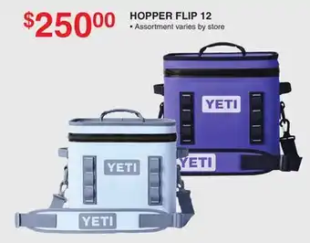 Dunham's Sports YETI HOPPER FLIP 12 offer