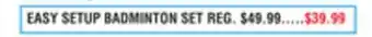 Dunham's Sports EASY SETUP BADMINTON SET offer
