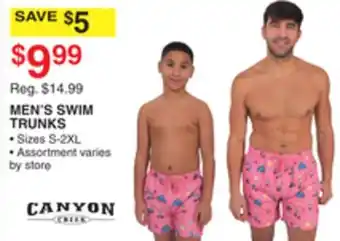 Dunham's Sports CANYON MEN'S SWIM TRUNKS offer