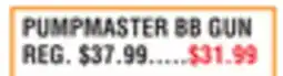 Dunham's Sports PUMPMASTER BB GUN offer