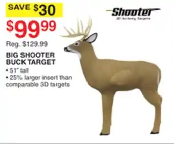 Dunham's Sports BIG SHOOTER BUCK TARGET offer