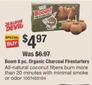 The Home Depot Boom 8 pc. Organic Charcoal Firestarters offer