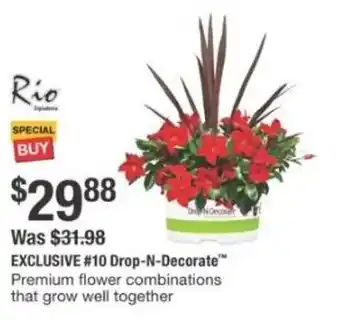 The Home Depot Drop-N-Decorate offer