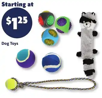 Family Dollar Dog Toys offer
