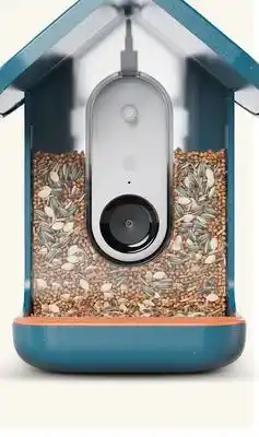 Target Bird Buddy smart bird feeder with camera offer