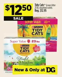 Dollar General Tidy Cats Scoop Litter offer