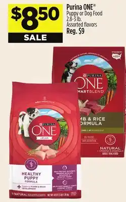 Dollar General Purina ONE Puppy or Dog Food offer
