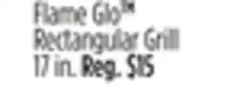 Dollar General Flame Glo TM Rectangular Grill offer