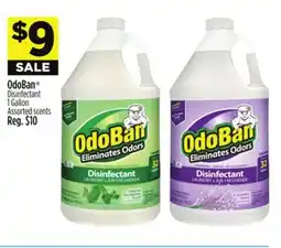 Dollar General OdoBan Disinfectant offer