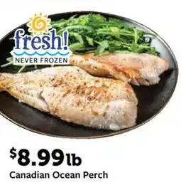 Fareway Canadian ocean perch offer