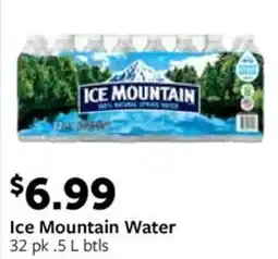 Fareway Ice mountain water offer