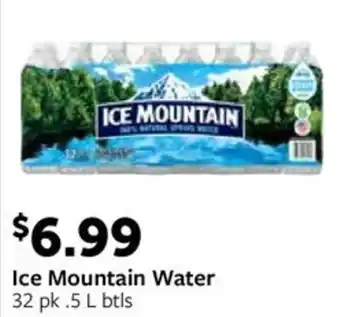 Fareway Ice mountain water offer