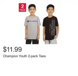 Costco Champion Youth 2-pack Tees offer