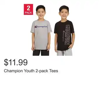 Costco Champion Youth 2-pack Tees offer
