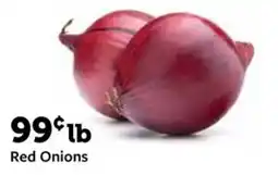 Fareway Red Onions offer