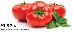 Fareway Greenhouse Grown Tomatoes offer