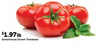 Fareway Greenhouse Grown Tomatoes offer