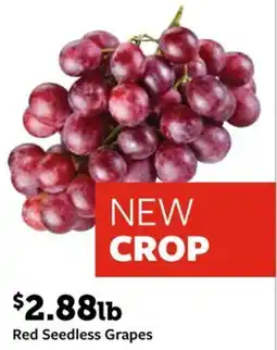 Fareway Red Seedless Grapes offer