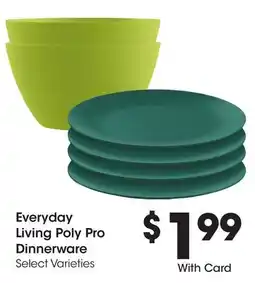 Ralphs Everyday Living Poly Pro Dinnerware offer