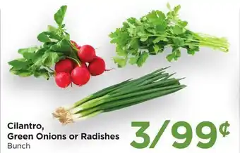 Food 4 Less Cilantro, Green Onions or Radishes offer