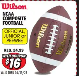 Big 5 Wilson NCAA Composite Official Football offer