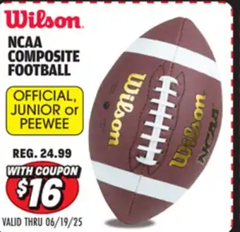 Big 5 Wilson NCAA Composite Official Football offer