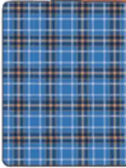 Big 5 Hurley Water-Resistant Outdoor Blanket offer